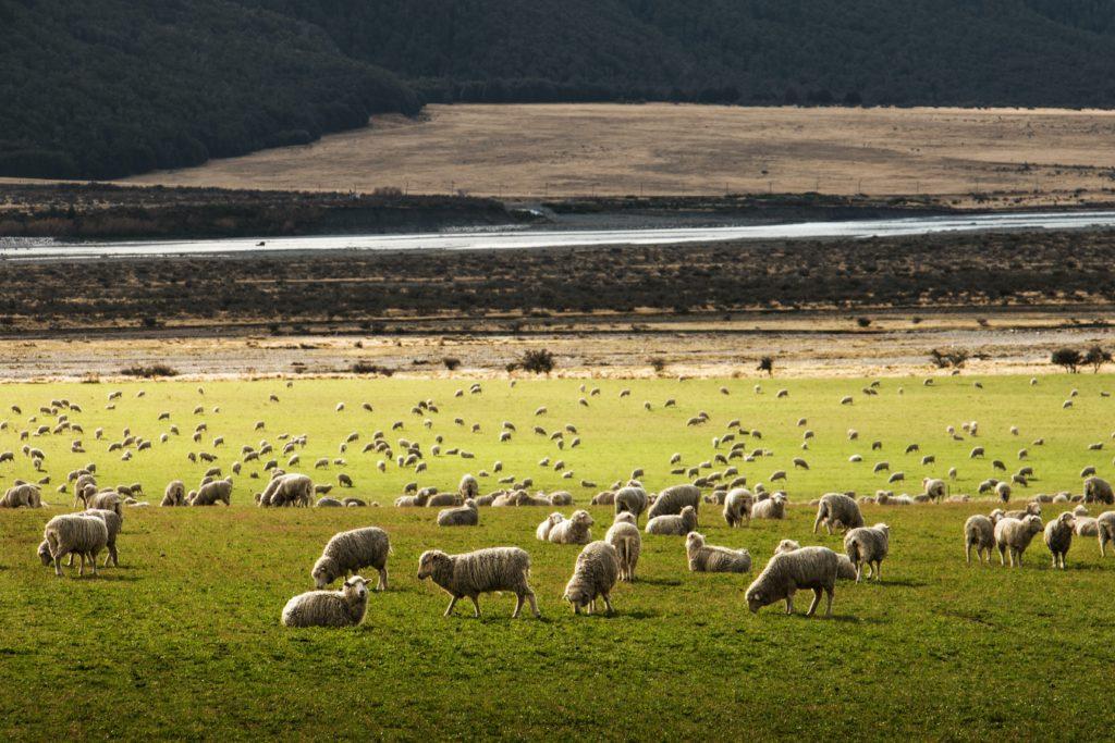 eco-friendly yarns